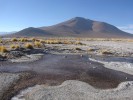 DSC07721.JPG